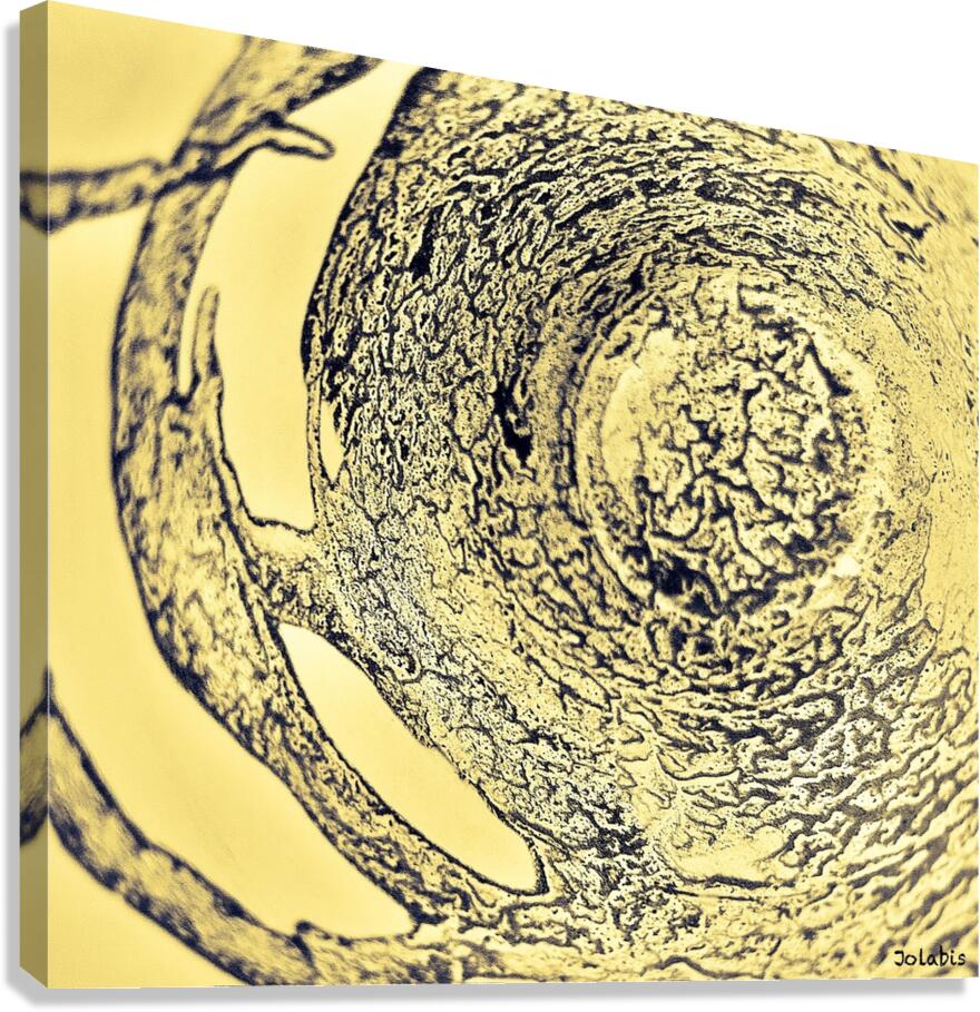  observation  Canvas Print