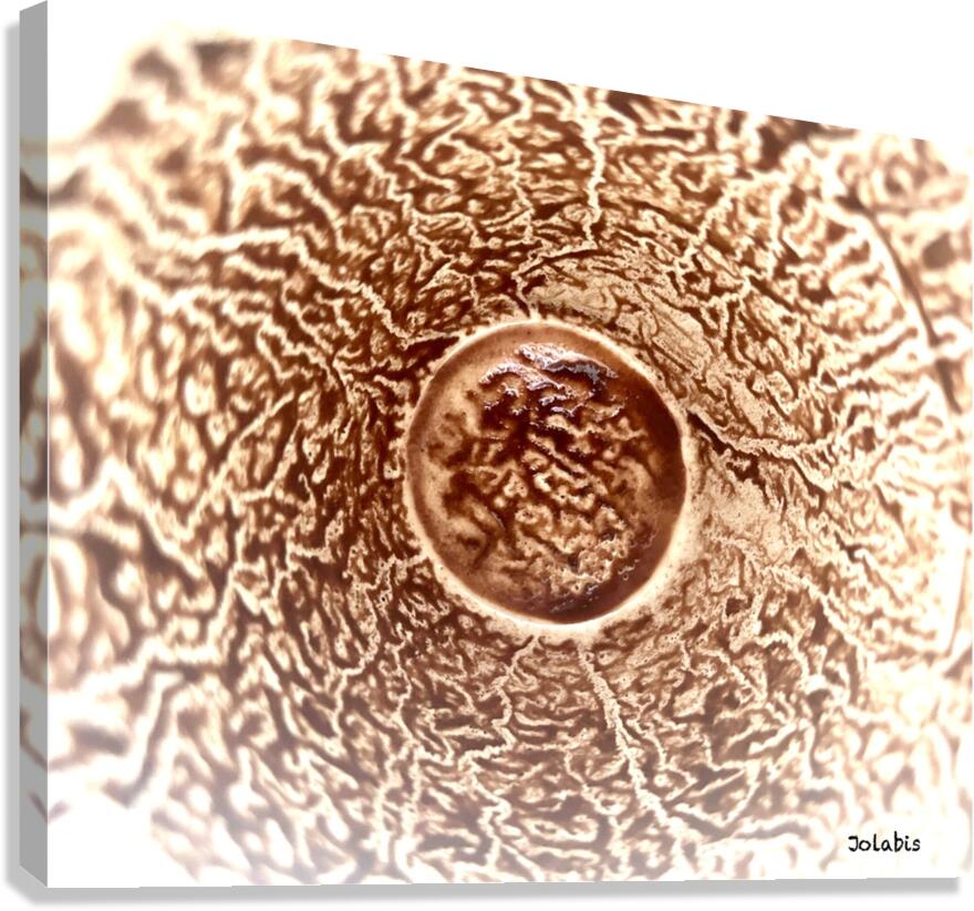 Le cercle  Canvas Print