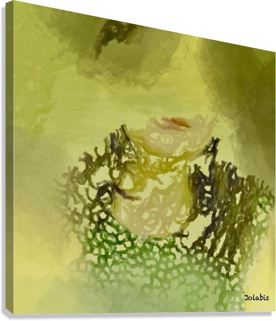 Solitude  Canvas Print