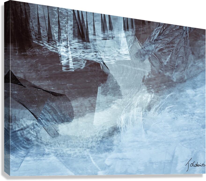 Voiliers  Canvas Print