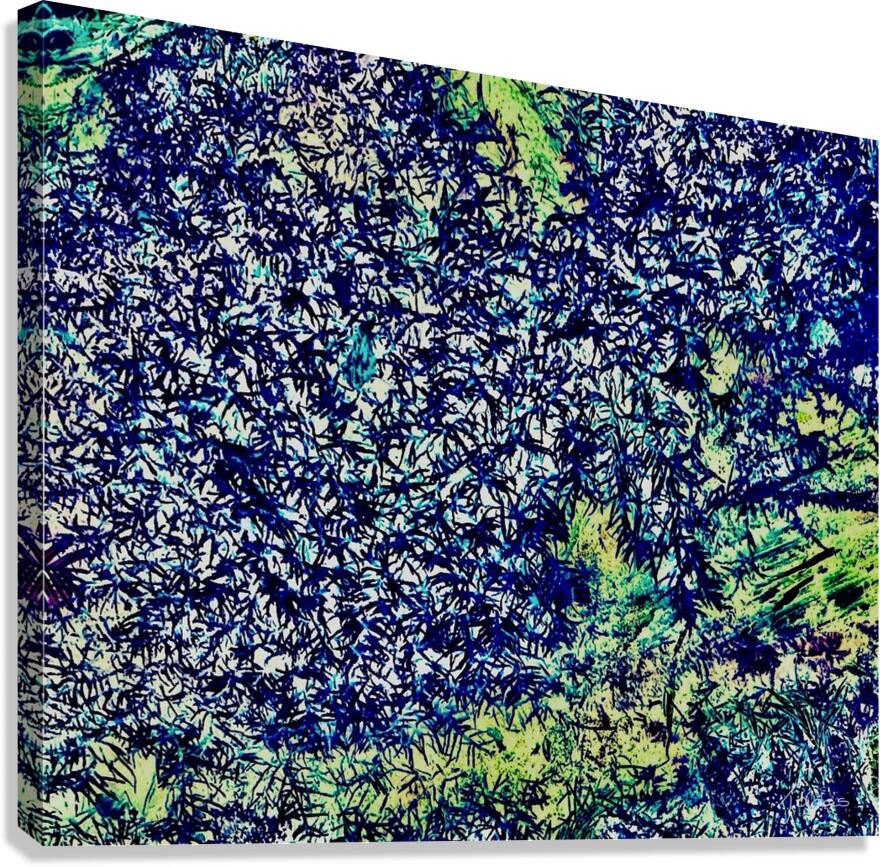 Chardons Canvas Print