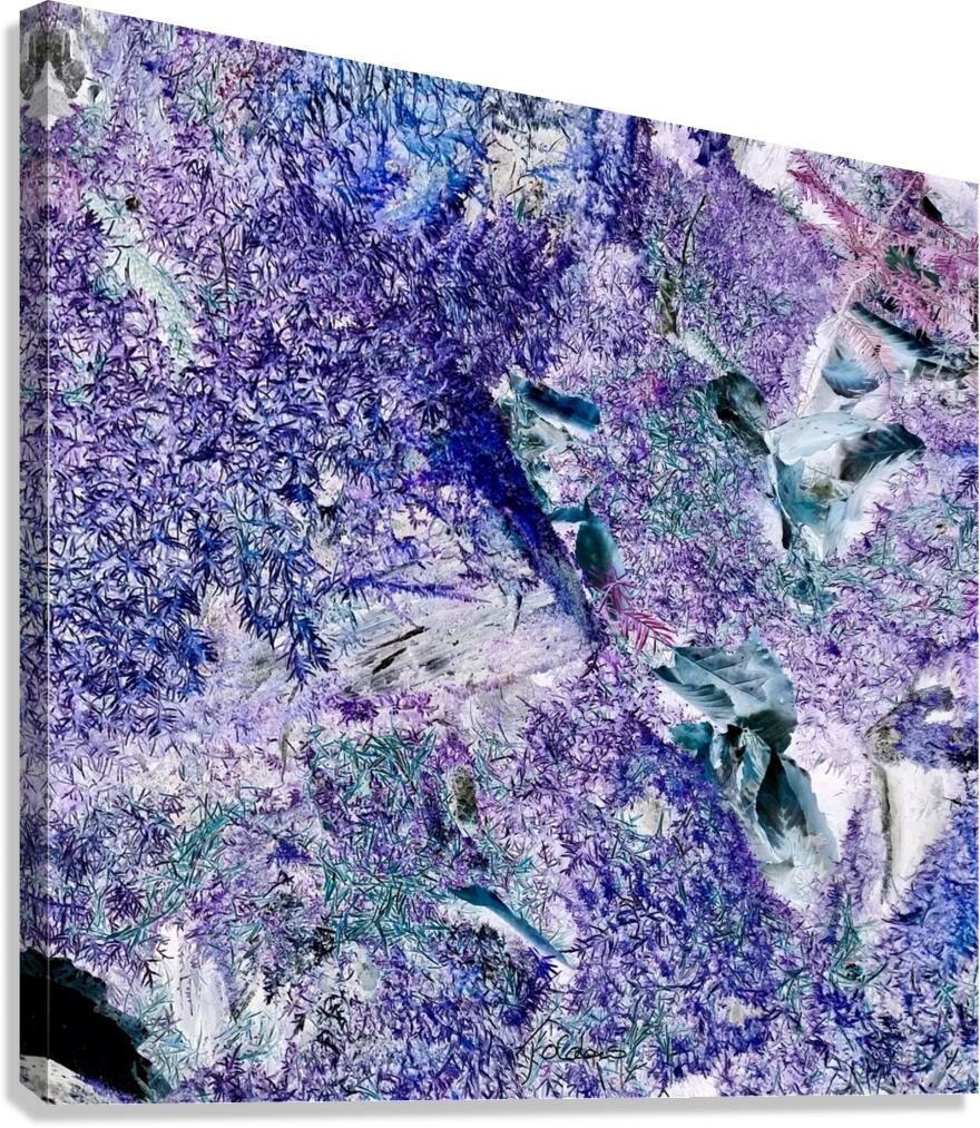 Violet Canvas Print