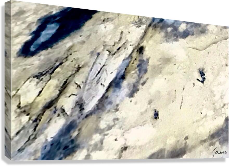 Incrustes Canvas Print
