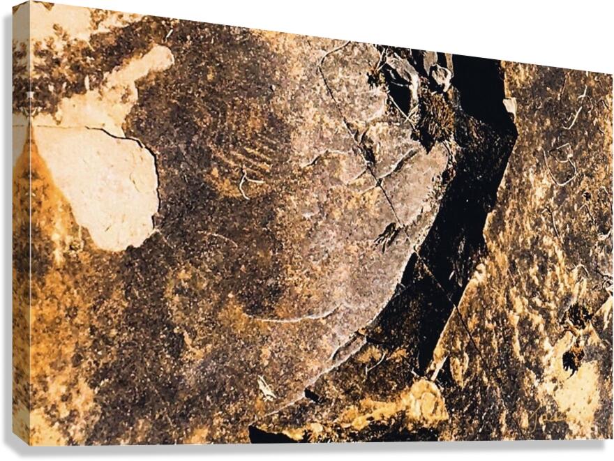 Empreintes  Canvas Print