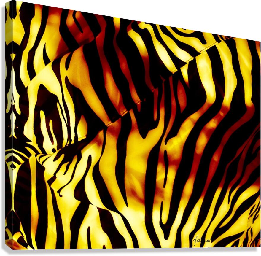 Felin II Canvas Print