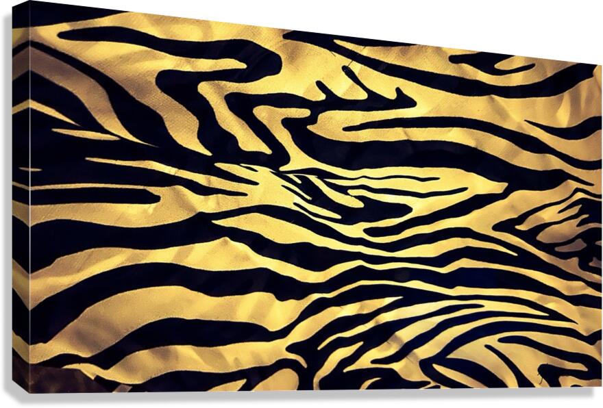 Zebre Canvas Print