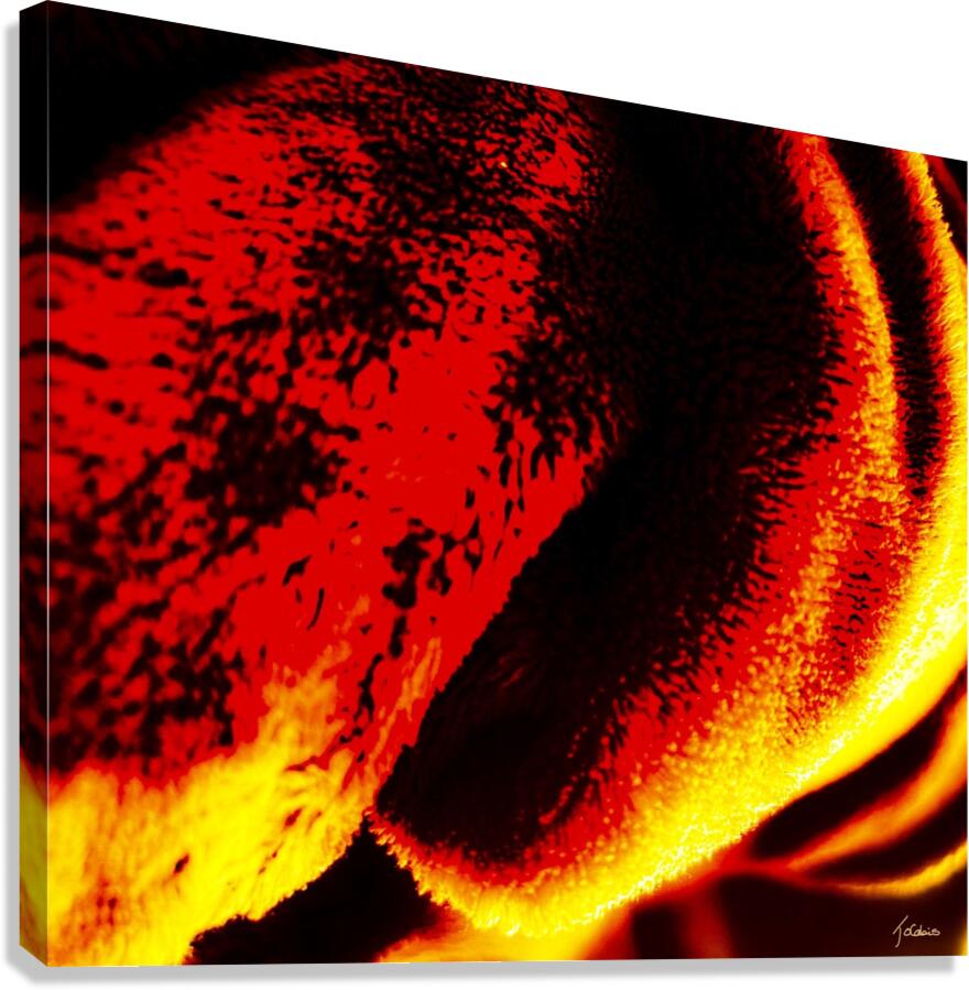 Douceur Canvas Print
