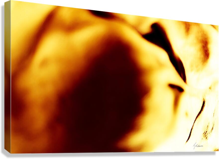 Faille Canvas Print