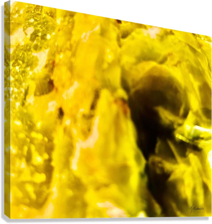Decouverte  Canvas Print