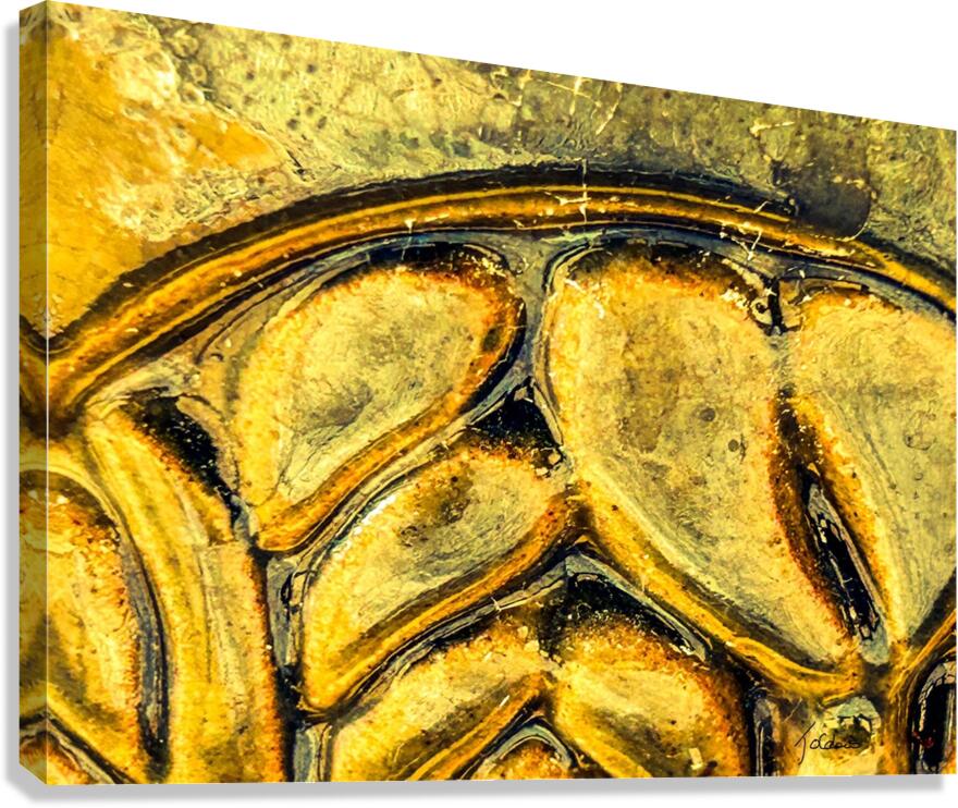 Gravee  Canvas Print