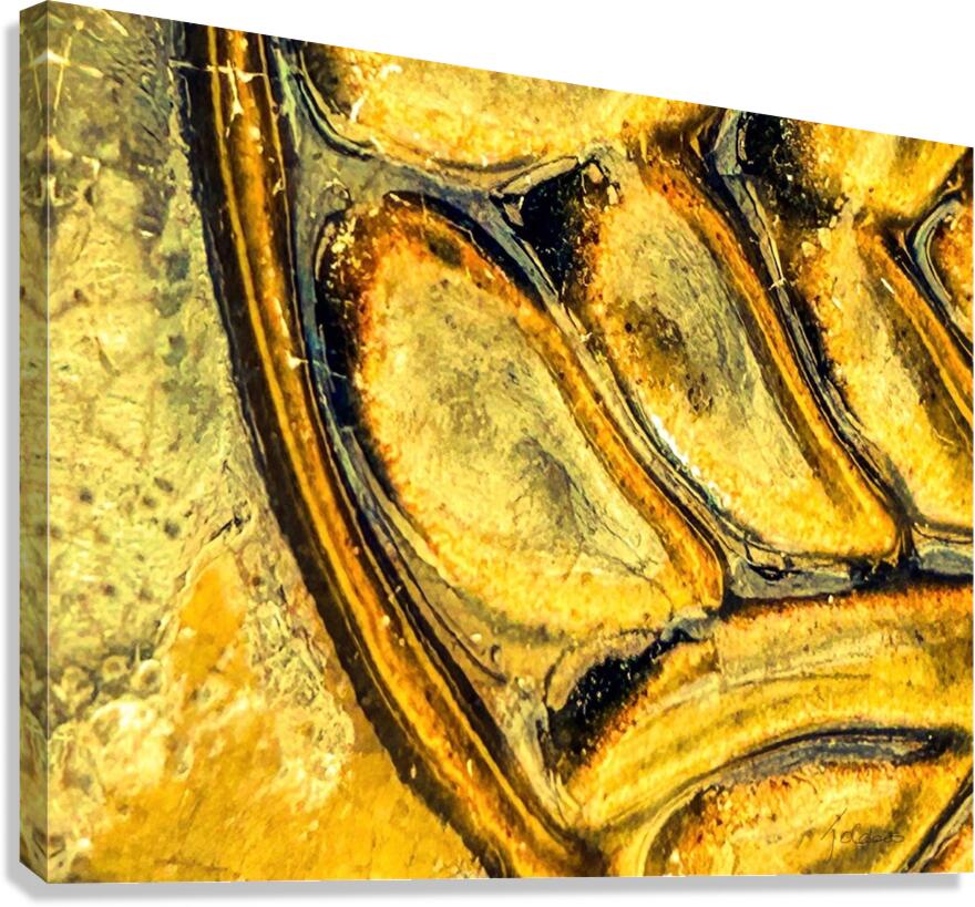 Fossiles  Canvas Print