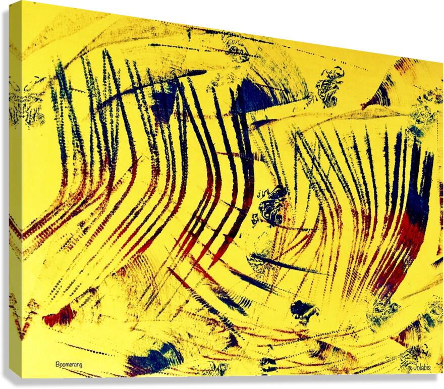 Boomerangs Canvas Print