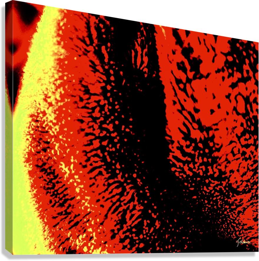 Pelucheux  Canvas Print