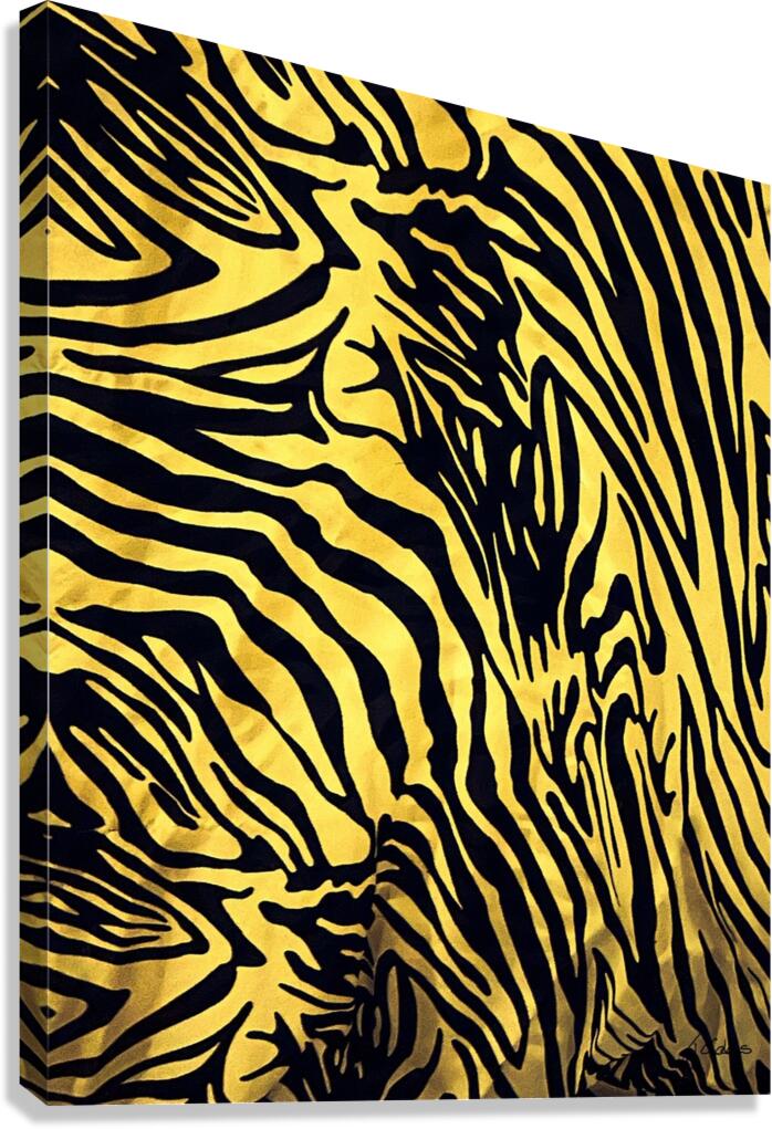 Zebrures IX Canvas Print