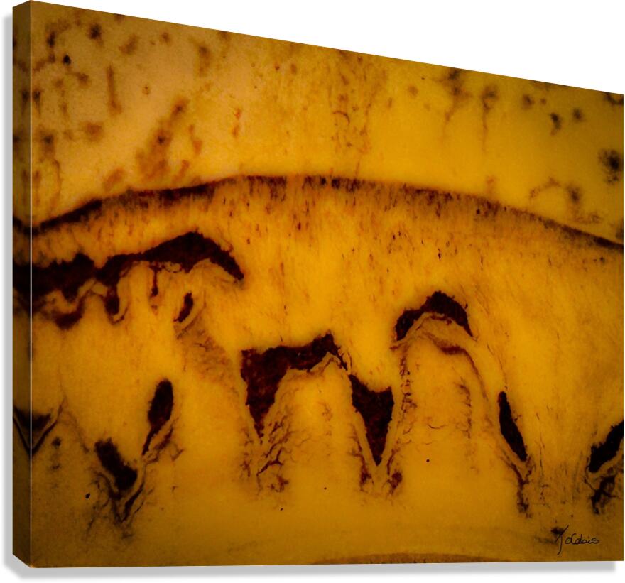 Choco Canvas Print