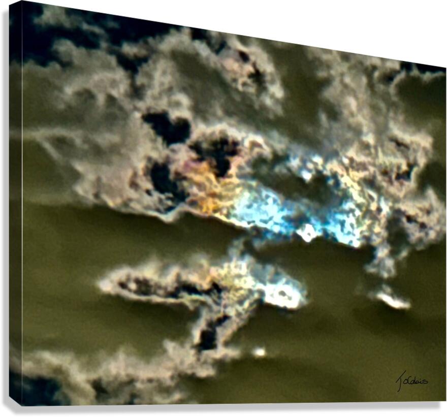 Ombrage  Canvas Print