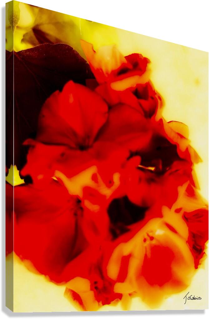 Flores  Canvas Print