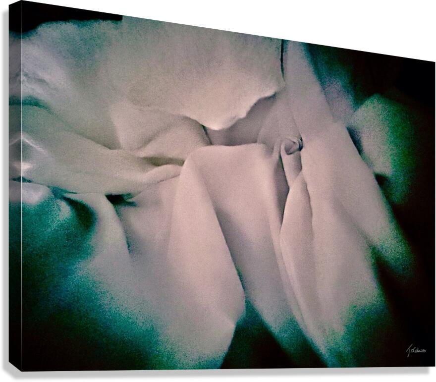 Alcove  Canvas Print