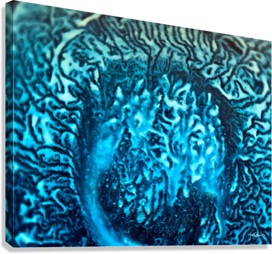 Veines bleues  Canvas Print