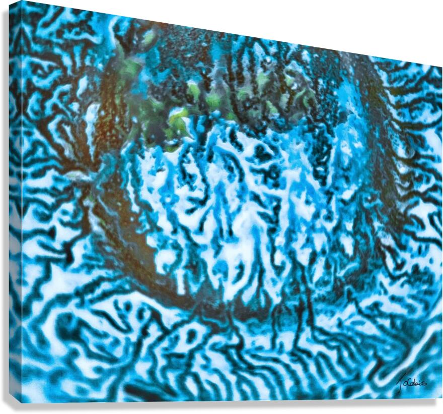 Sillons  Canvas Print
