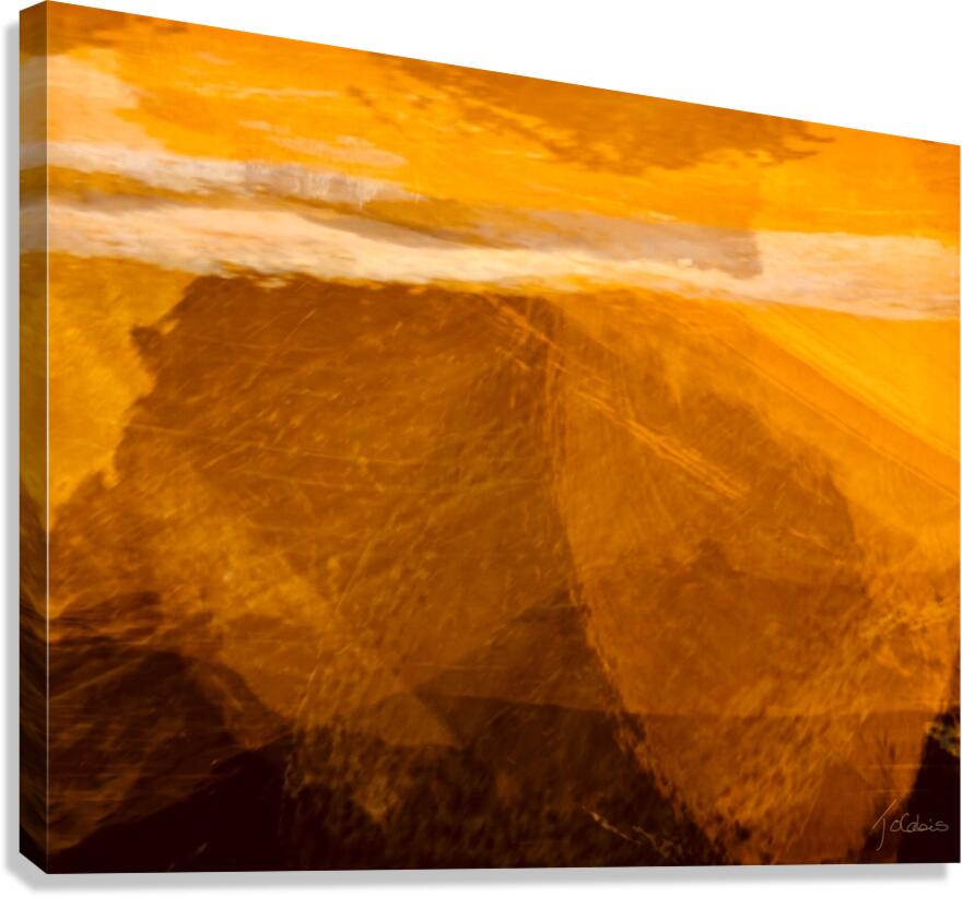 Dorade Canvas Print