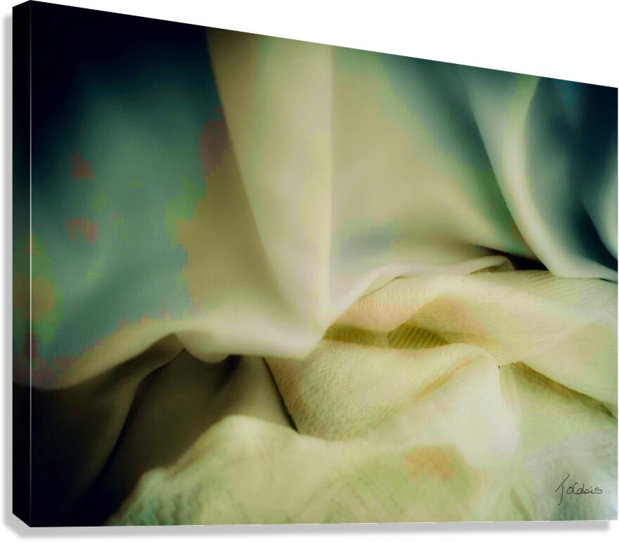 Douceur  Canvas Print
