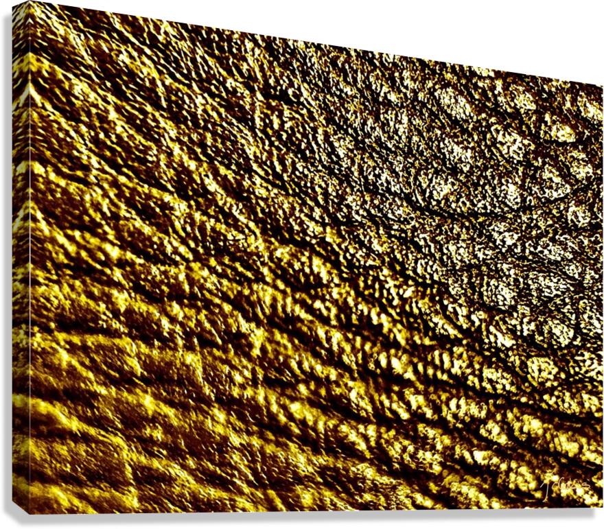 Craquelures  Canvas Print