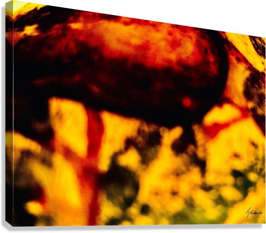 Jonction  Canvas Print