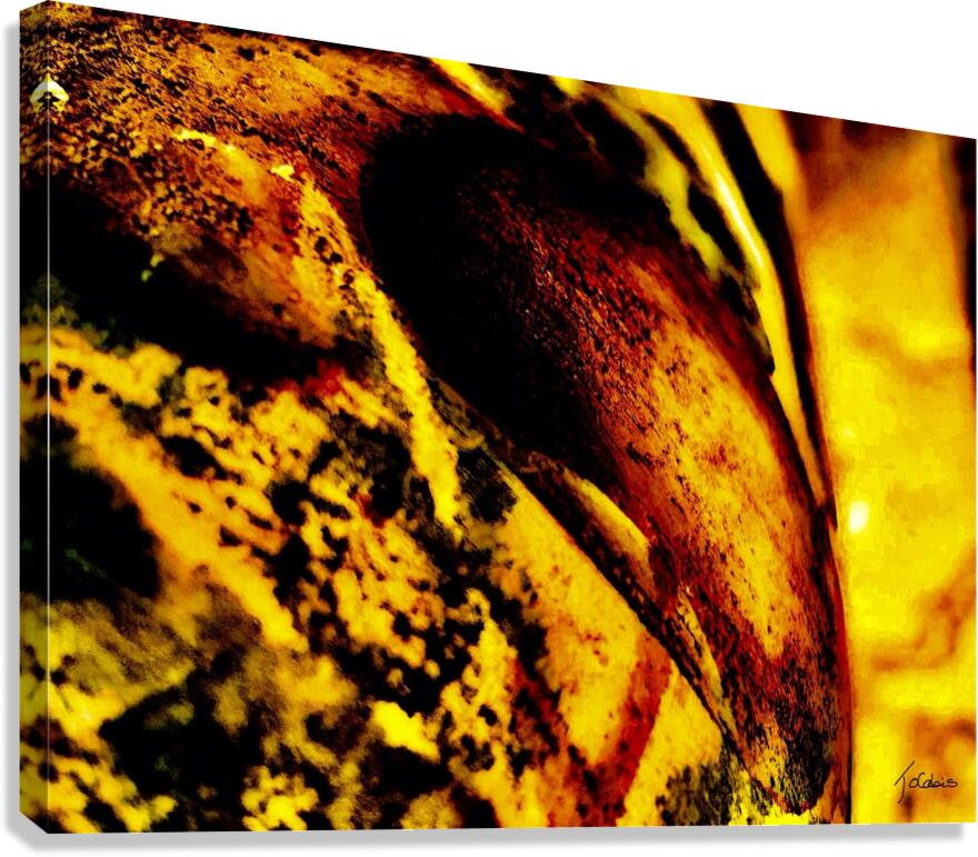 Courbures Canvas Print