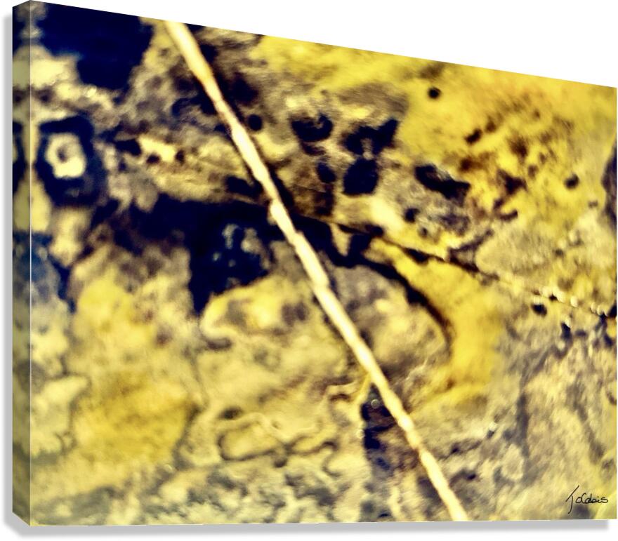Lithos Canvas Print