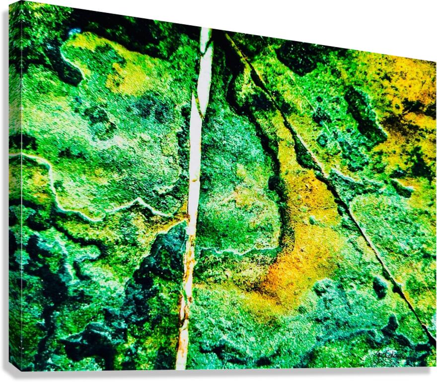 Pierre eponge Canvas Print