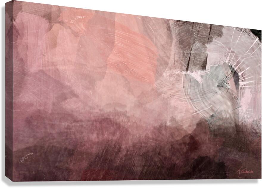 Rosette rose  Canvas Print