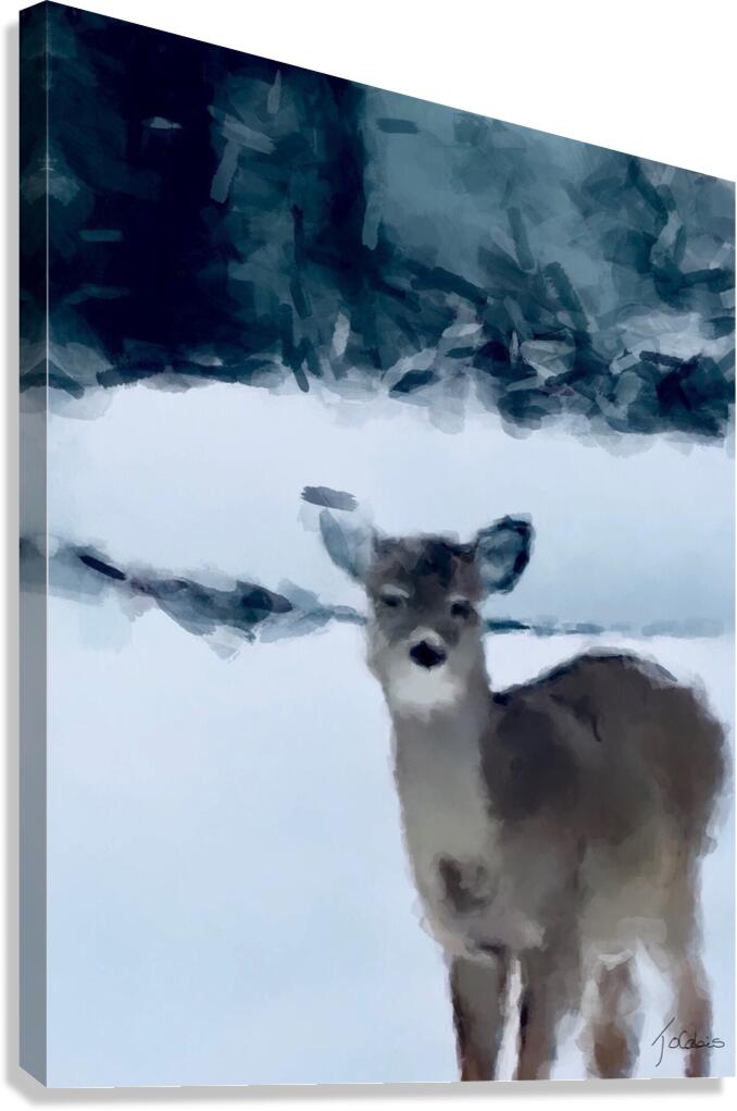 Cerf surpris  Canvas Print