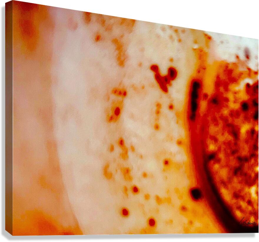 Encerclement  Canvas Print