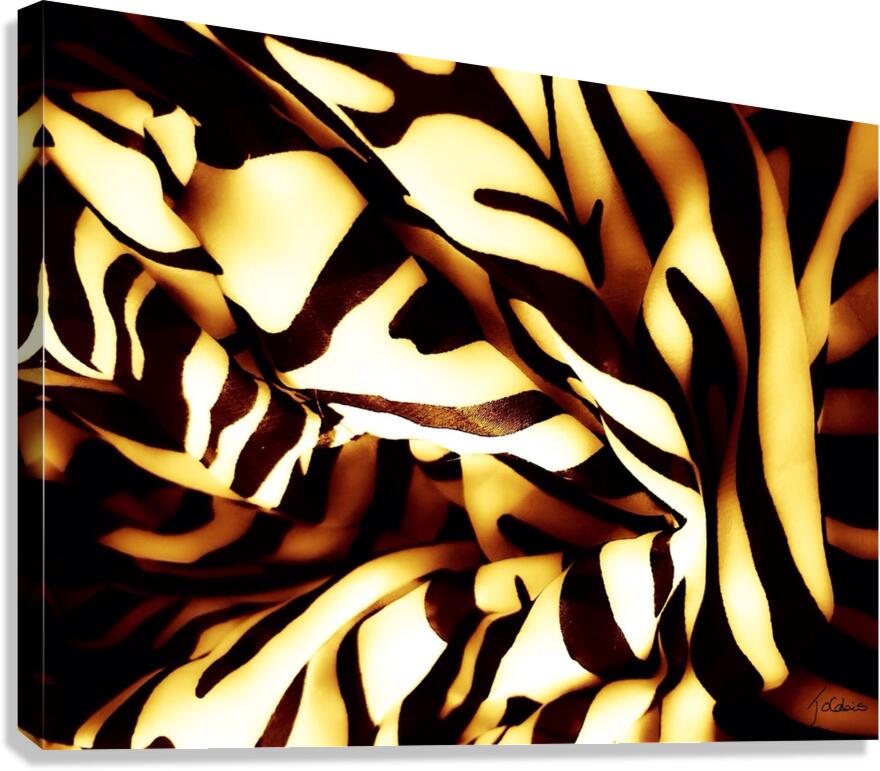 Fauve Canvas Print