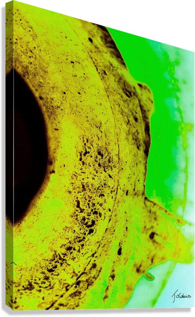 Orbite  Canvas Print