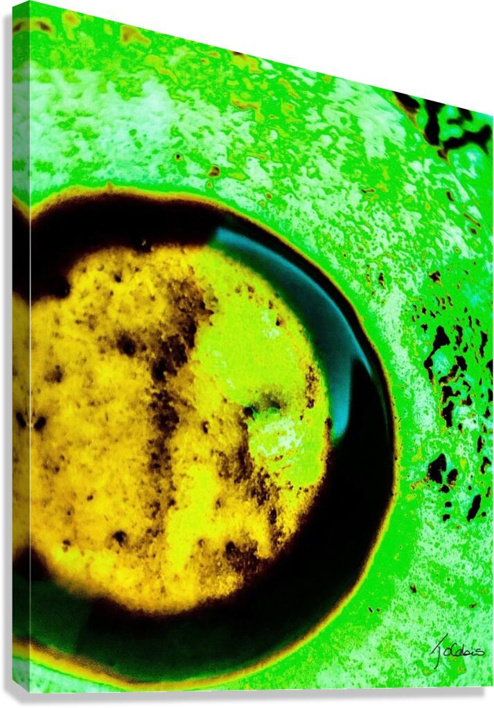 Radiant  Canvas Print