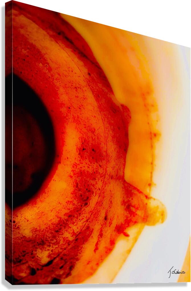 Magnetique  Canvas Print