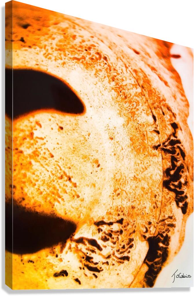 Croissant  Canvas Print