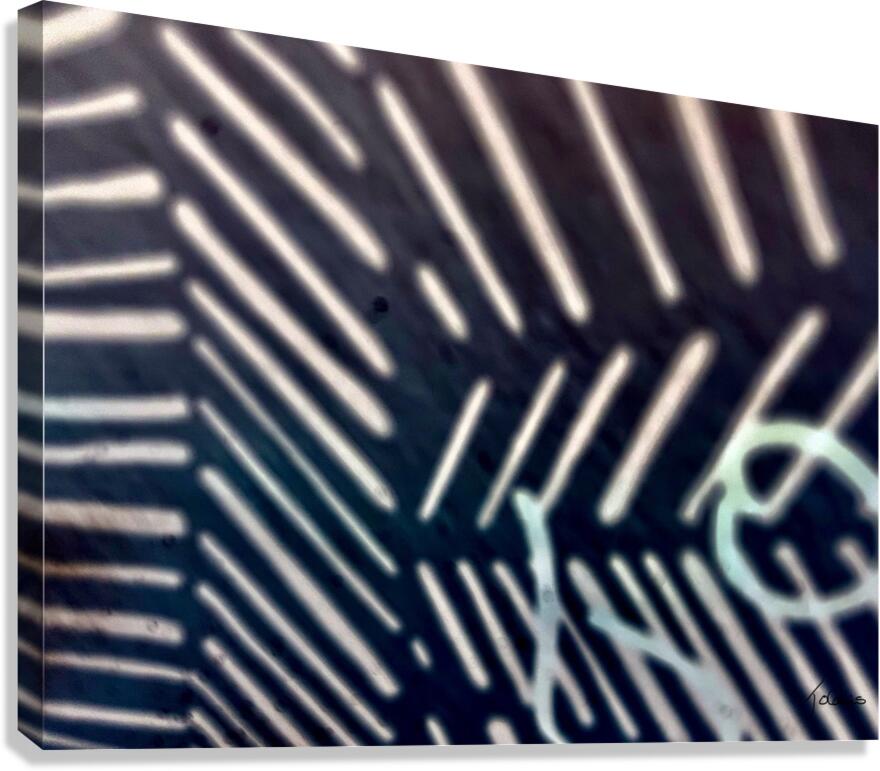 Graffiti  Canvas Print