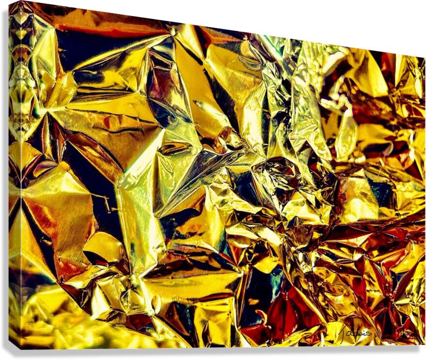 Dissimules  Canvas Print