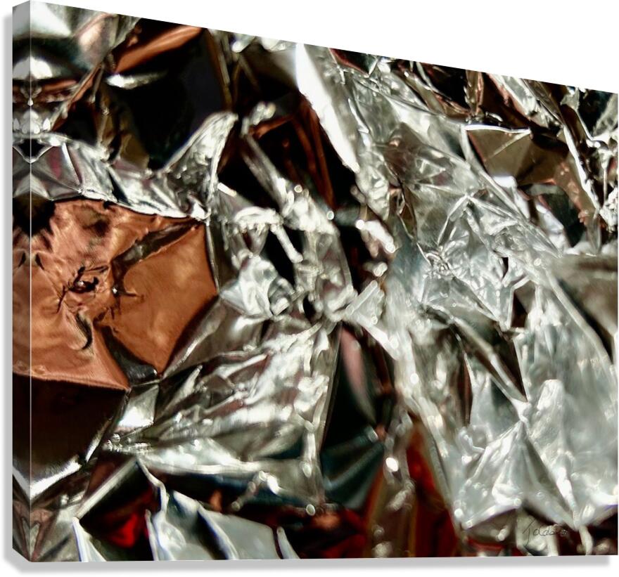 Deception  Canvas Print
