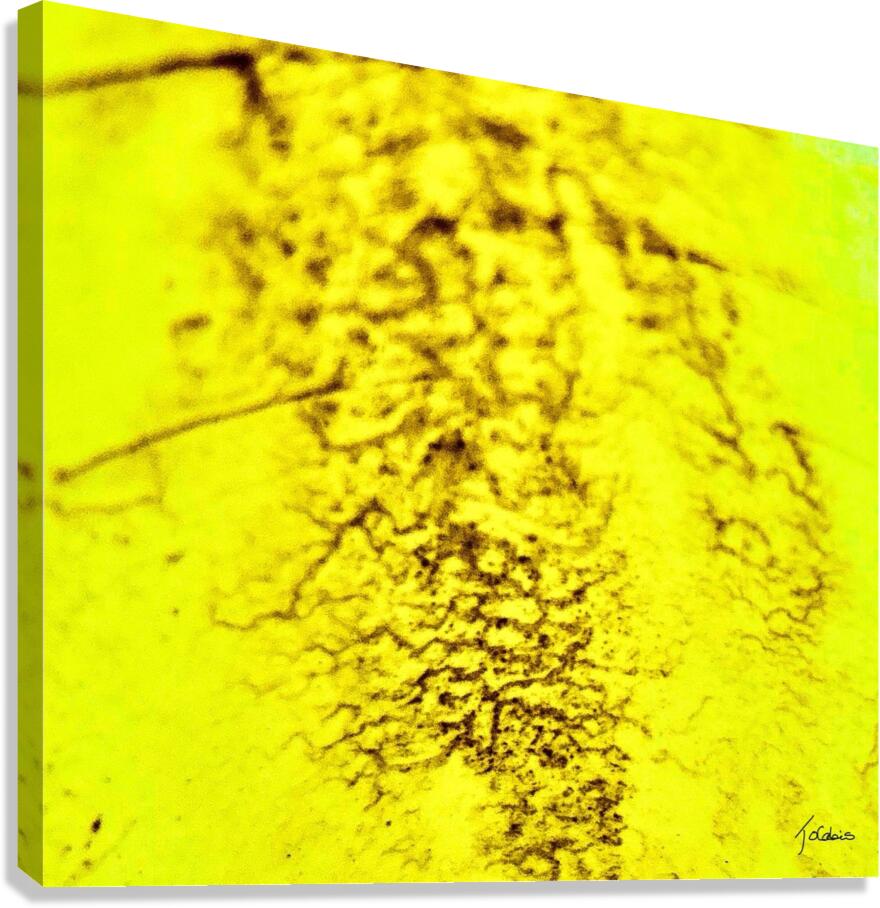 Humainement  Canvas Print