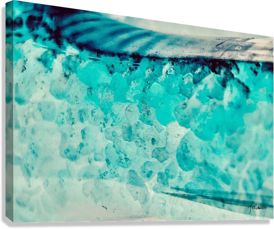 Submerge  Canvas Print