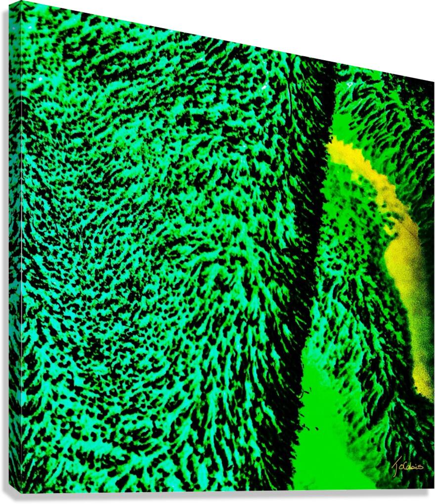 Toundra Canvas Print