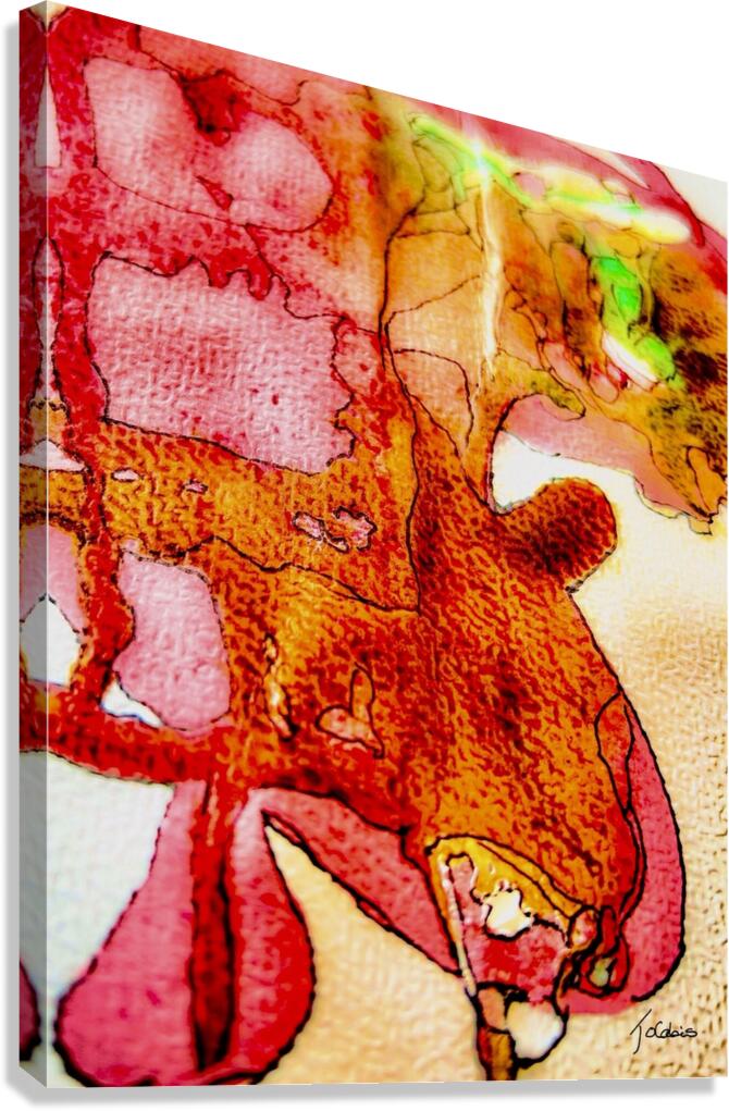 Etrange impression  Canvas Print