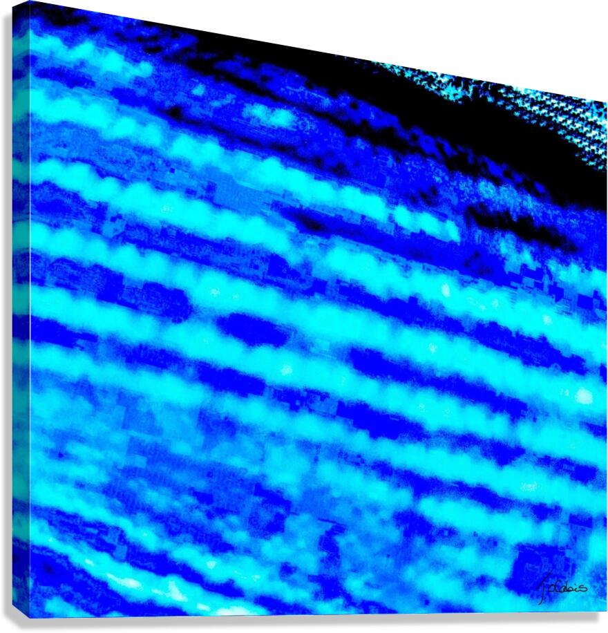 Parallelement  Canvas Print