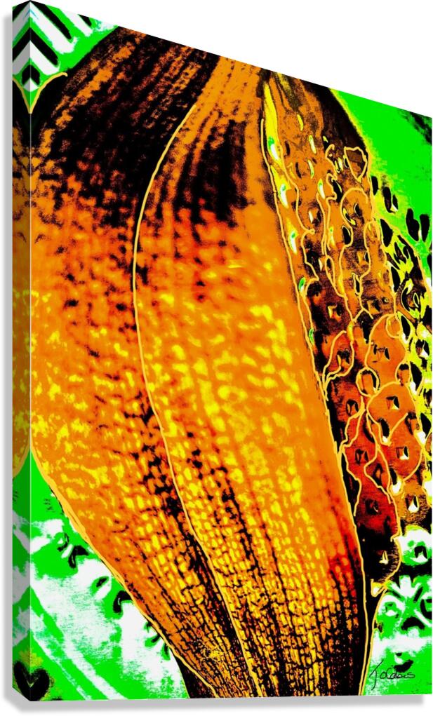 Abandon  Canvas Print