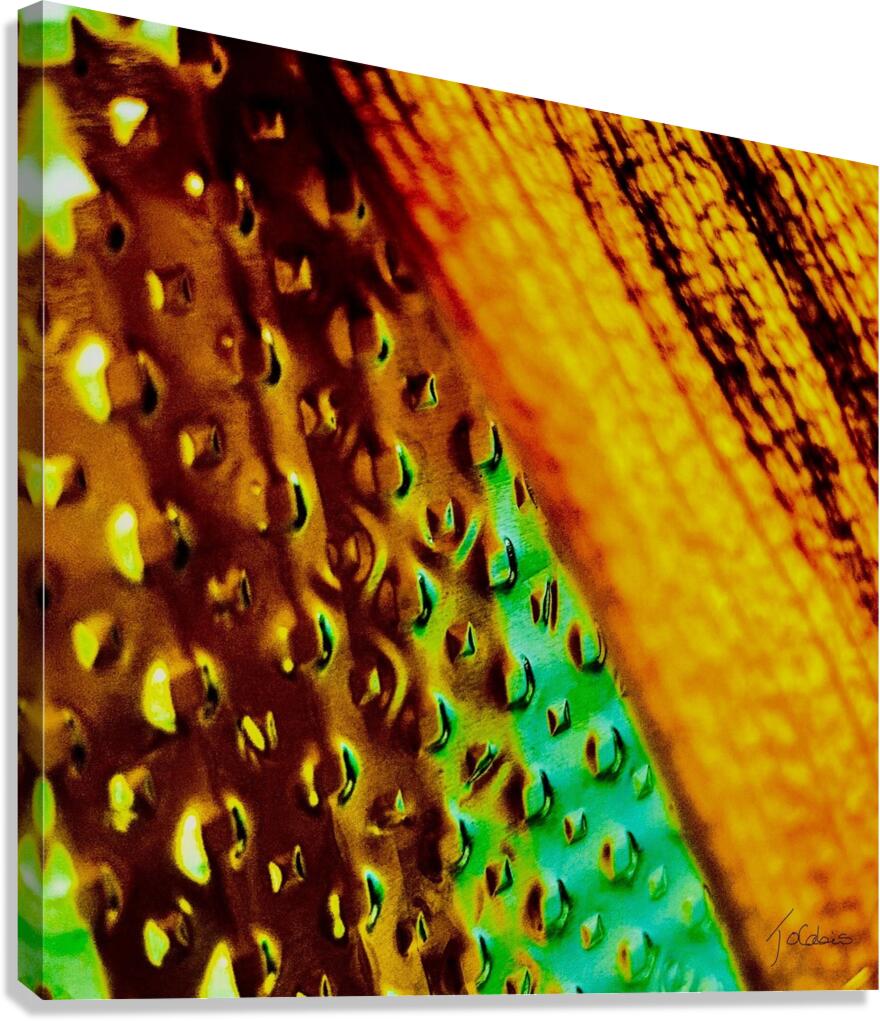 Reflets Canvas Print
