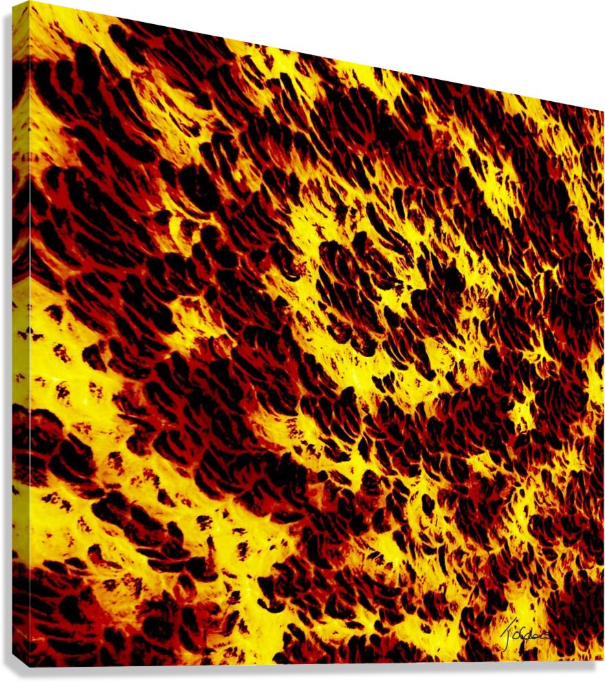 Fibres Canvas Print